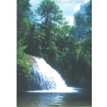 238 - BILHETE POSTAL - VISCONDE DE MAUÁ - 7532